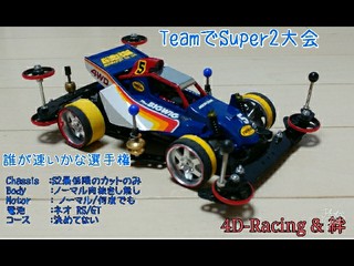 4D-Racing S2カップ用BIGWIG